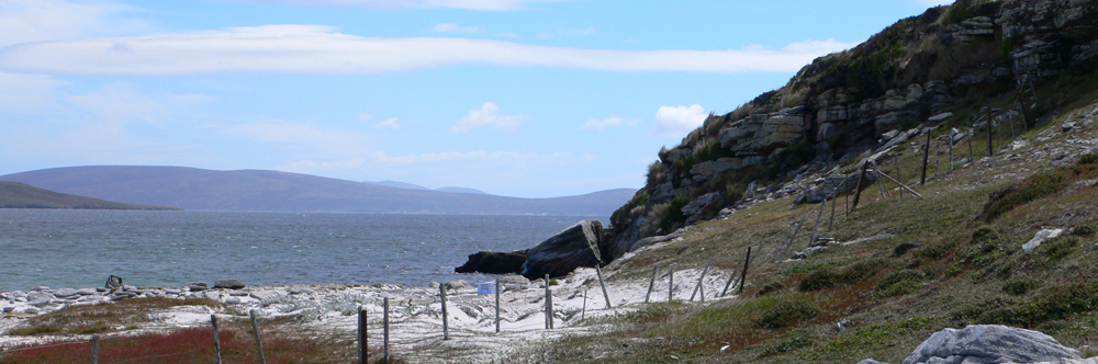 COASTAL CLIFFS AND SLOPES, plants and birds found on there